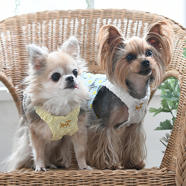 ROPE PICNIC（ロペピクニック）フラワーキャミ（ショート丈） | 犬服