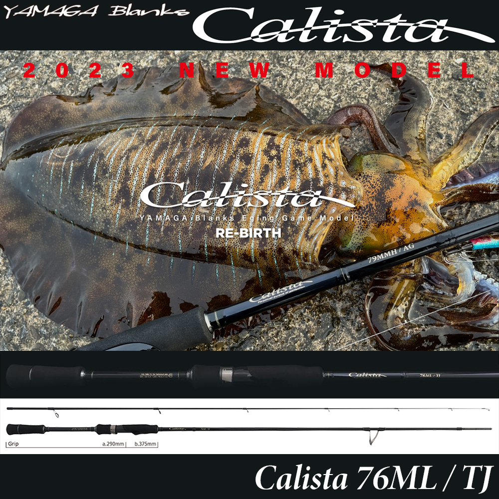 ヤマガブランクス(YAMAGA Branks) カリスタ(Calista) 86L/TZ NANO ☆旧