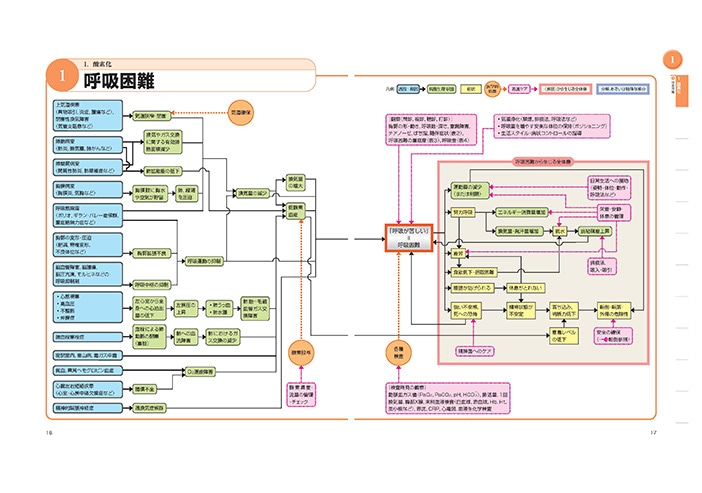 専用 看護学生 看護学校 手順書 関連図 パンフレット 周手術期 急性期