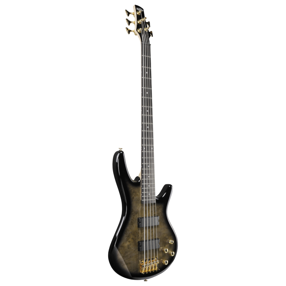 IBANEZ アイバニーズ GSR205PC-TPB Gio Transparent Pale Black Burst
