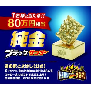 純金ブラックサンダー80万円相当 - 無料懸賞 プレゼントキャンペーン