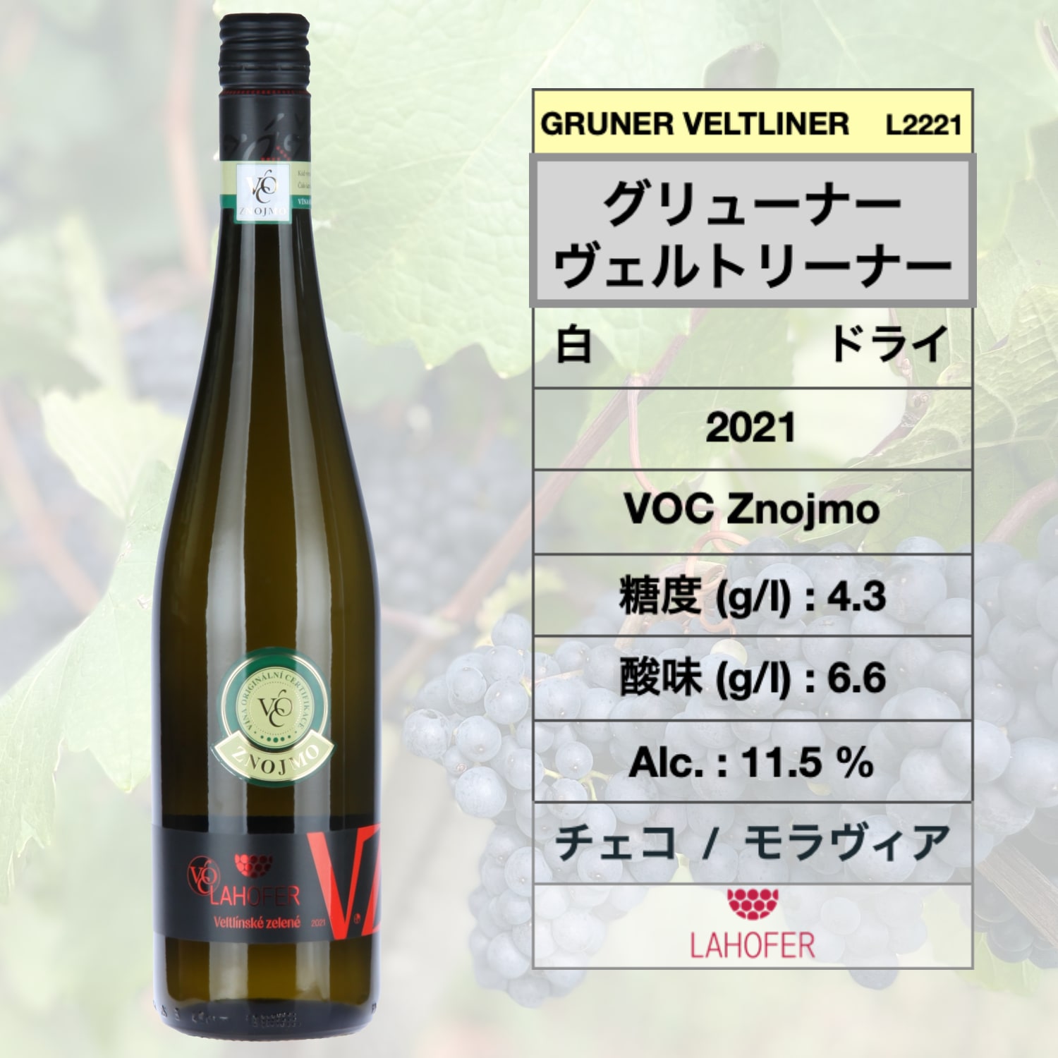 チェコ モラヴィア ワイン