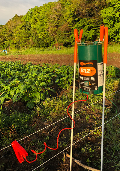 ガラガーパワーユニット番兵B12（ピッグテール・スタンド型） | 鳥獣