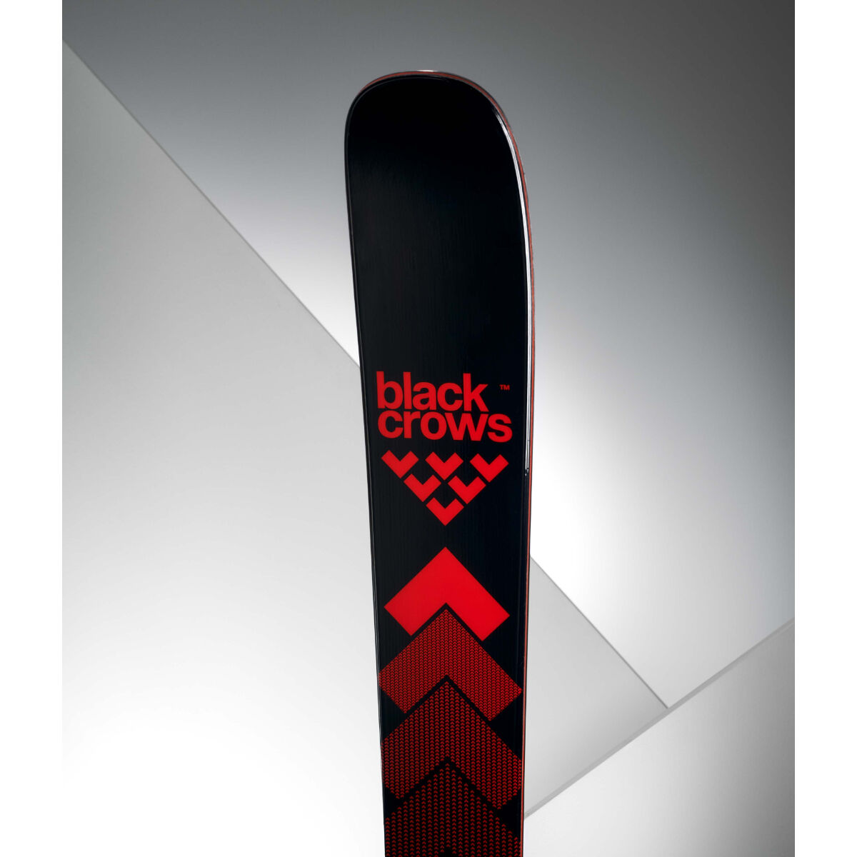 Black Crows Camox Skis | Christy Sports