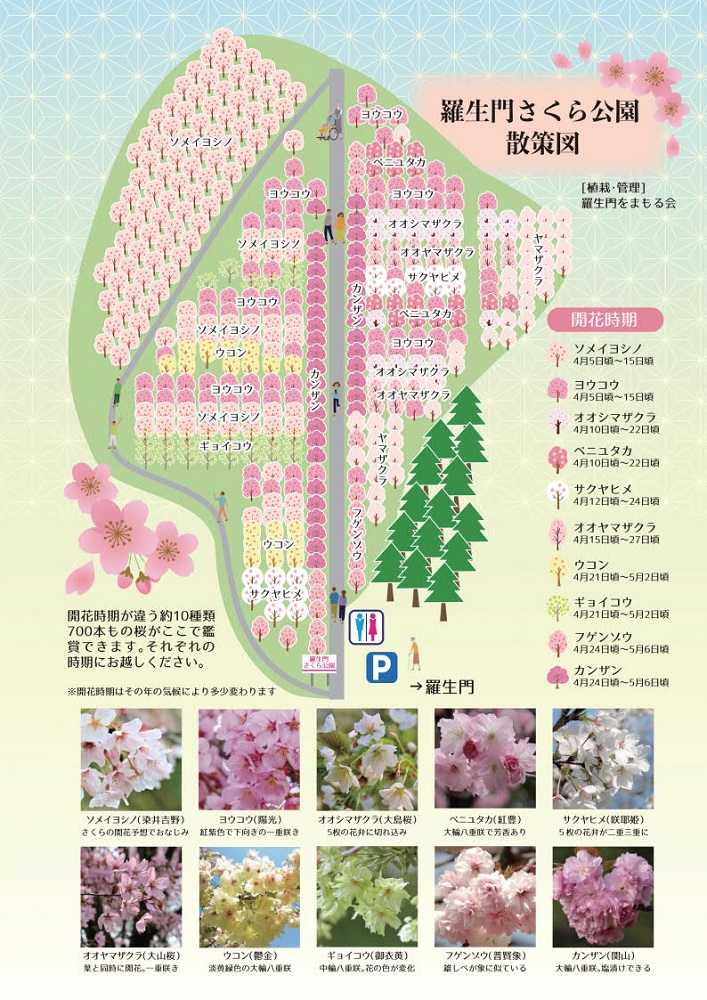 羅生門（らしょうもん）・羅生門さくら公園 | スポット | にいみ公式