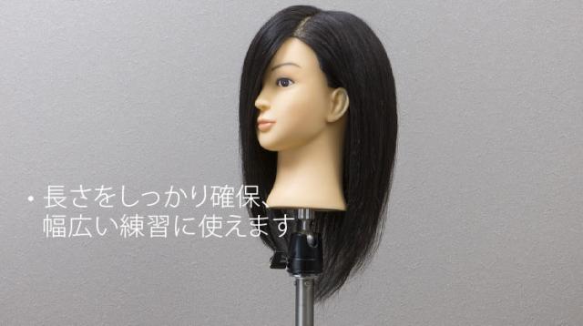 B Type 1体 人気モデル (100%人毛)! カット練習・カラー用 ☆ | Cutwig
