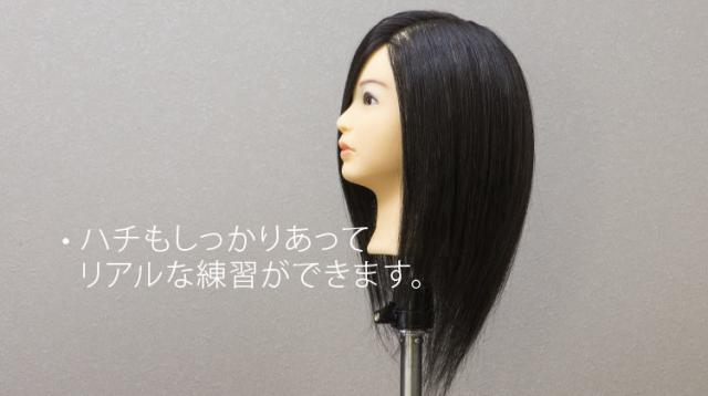 C Type カットウィッグ 高級タイプ (100%人毛) 5体set | Cutwig.jp