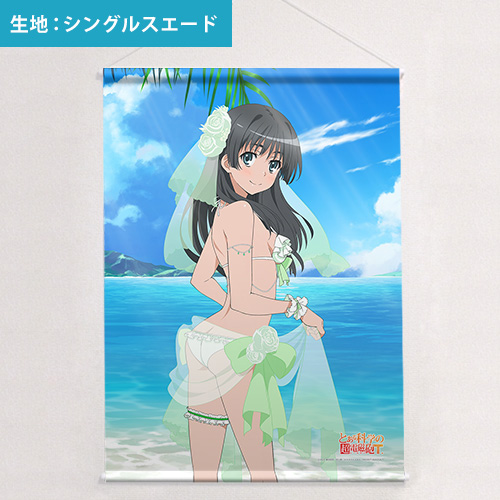 とある科学の超電磁砲T]描き下ろしB2タペストリー（佐天涙子