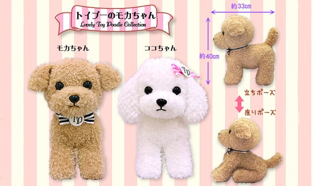 5月新商品》トイプーのモカちゃん｜アミューズ最新情報