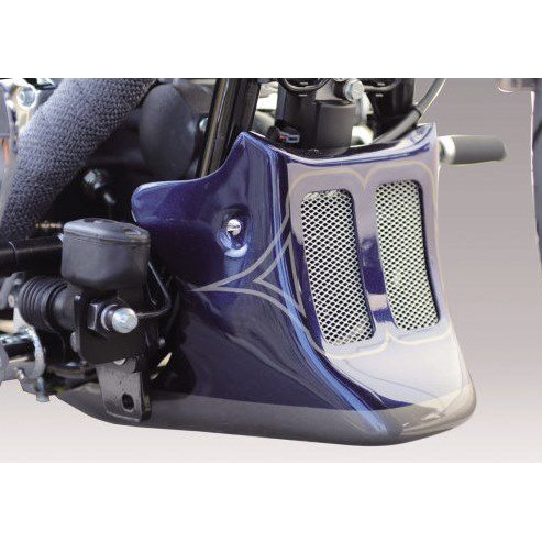 RACING ラジエーターカバー - CULT-WERK | アンバーピース