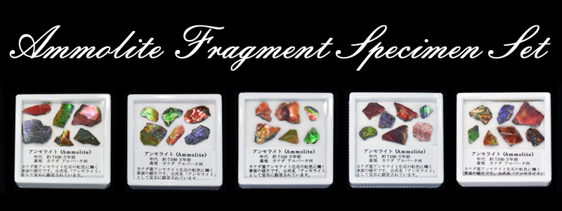 アンモライト破片標本(ピースオブレインボー)セット 化石ジュエリー