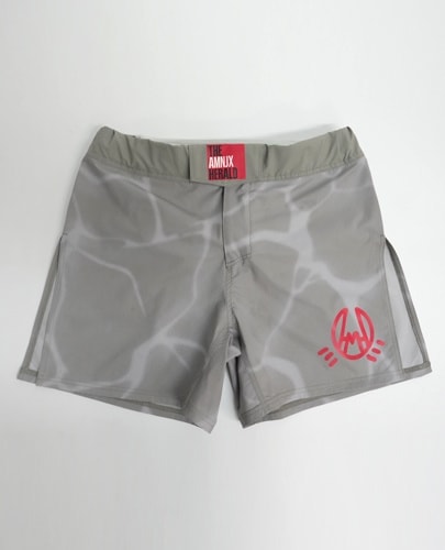 revenger shorts of AMNJX