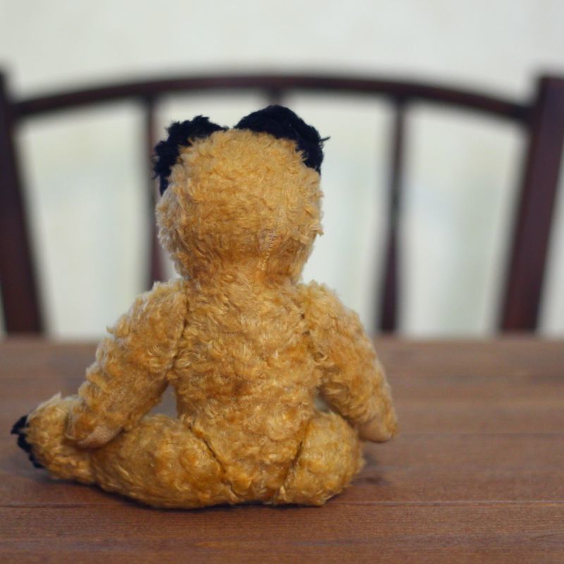 Sooty Bear/Antique Teddybear/ぬいぐるみ-/Antique toricoTte