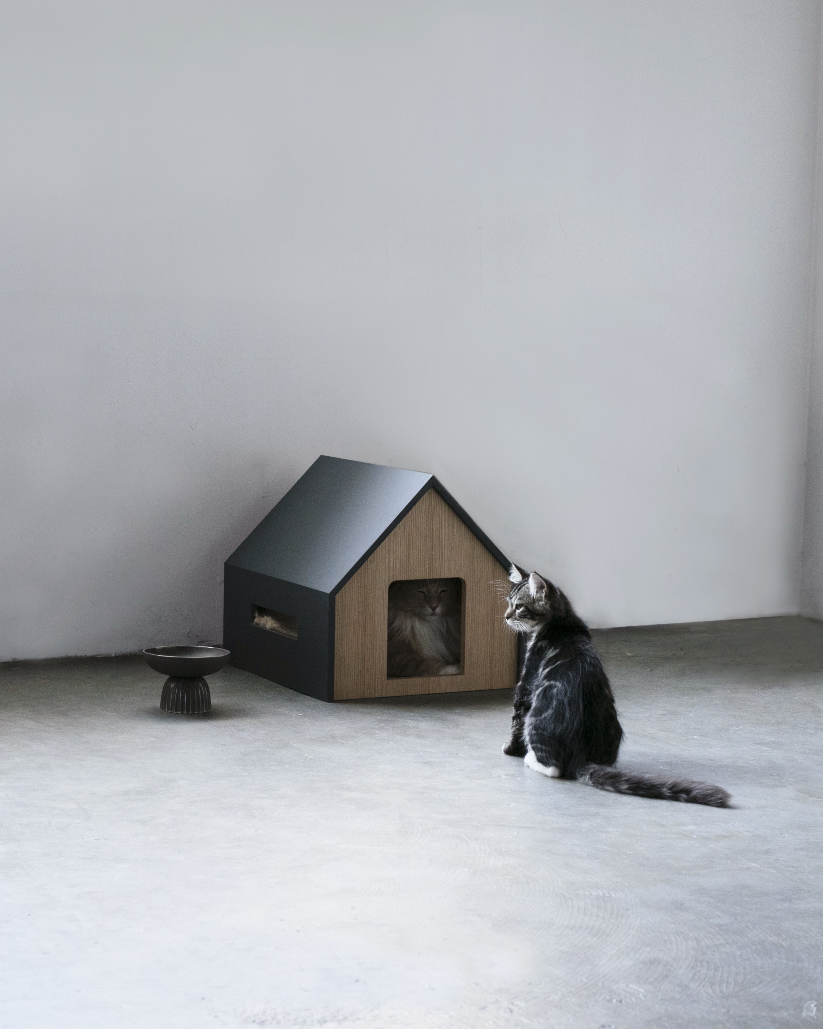 HÜTTE｜猫と暮らす、家具のように美しいミニマルデザインでインテリア