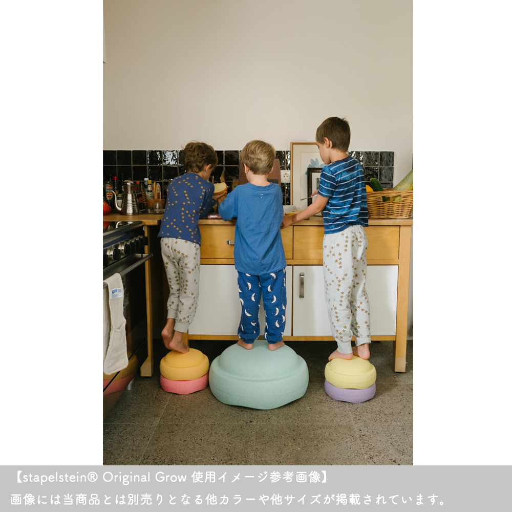 Blush Special Trilogy Set【Stapelstein/シュタペルシュタイン