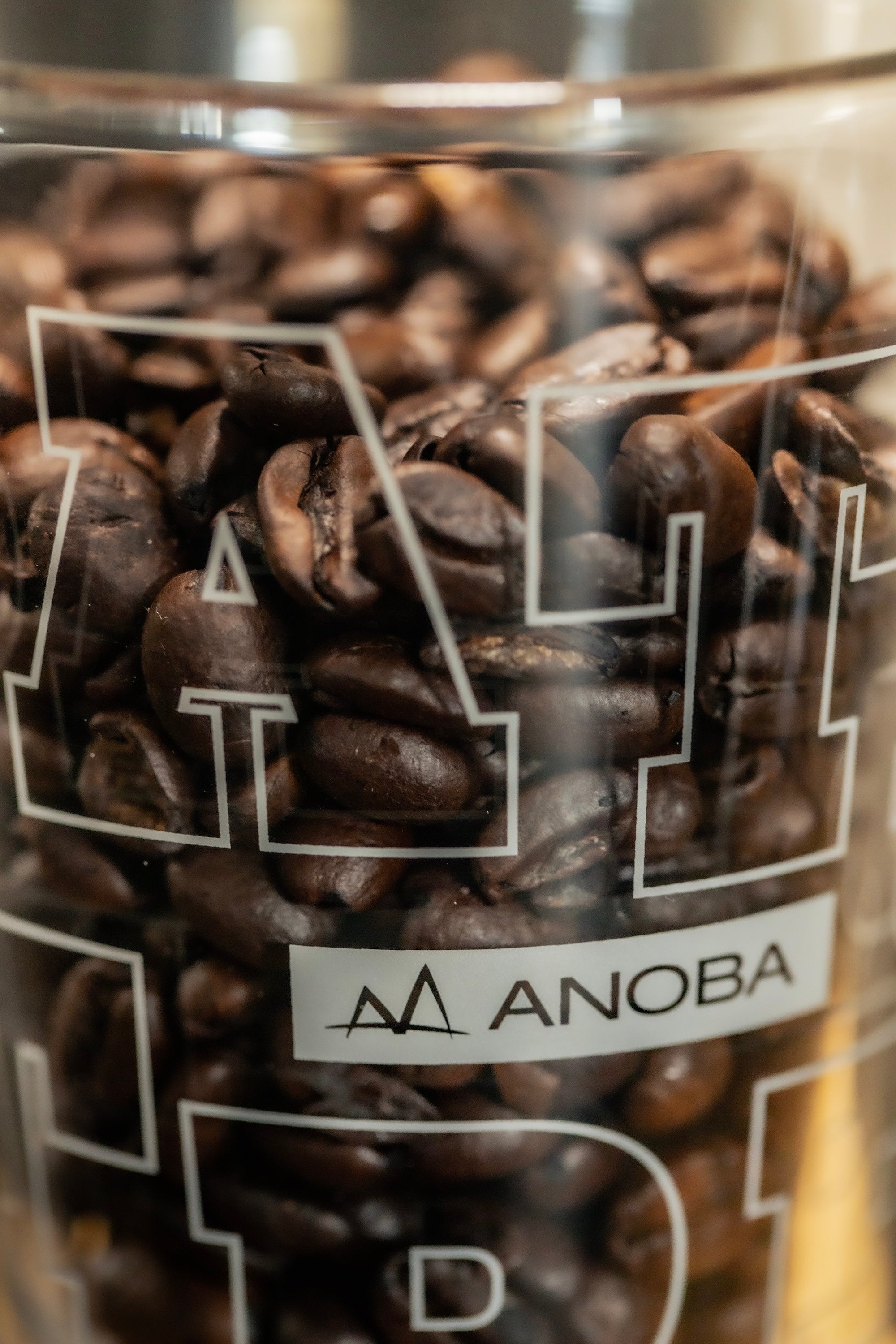 TARP GLASS / ANOBA Ver.