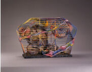 工藤哲巳 | 青森県立美術館