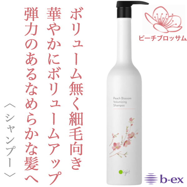 ビーエックス オーライト シャンプーPB 1000ml(ポンプ)--のヘアケア通販