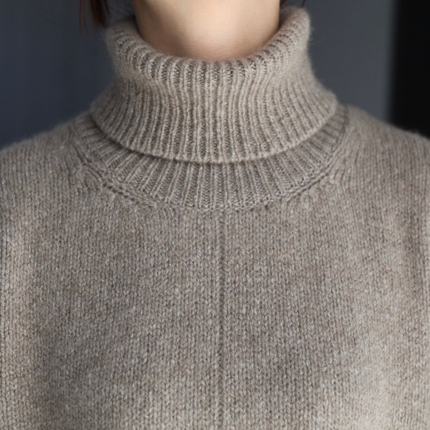 ssstein - 【残り一点】Cashmere/Sable Tweed Knit Turtle Neck LS