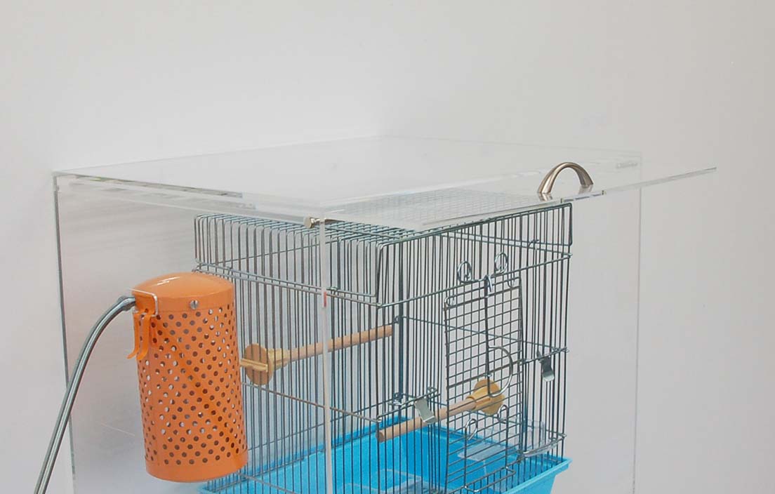 bird_cage_case_d_4.jpg