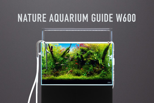 ADA30周年記念プロダクト 発売のお知らせ | ADA - NEWS RELEASE