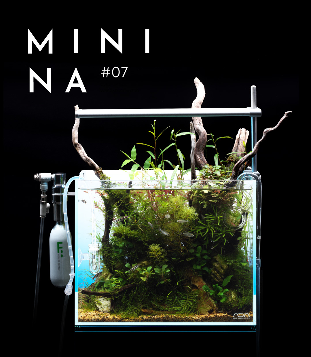 MINI NA_07 「CO2添加システムのワクワクとノウハウ」 | AQUA DESIGN AMANO