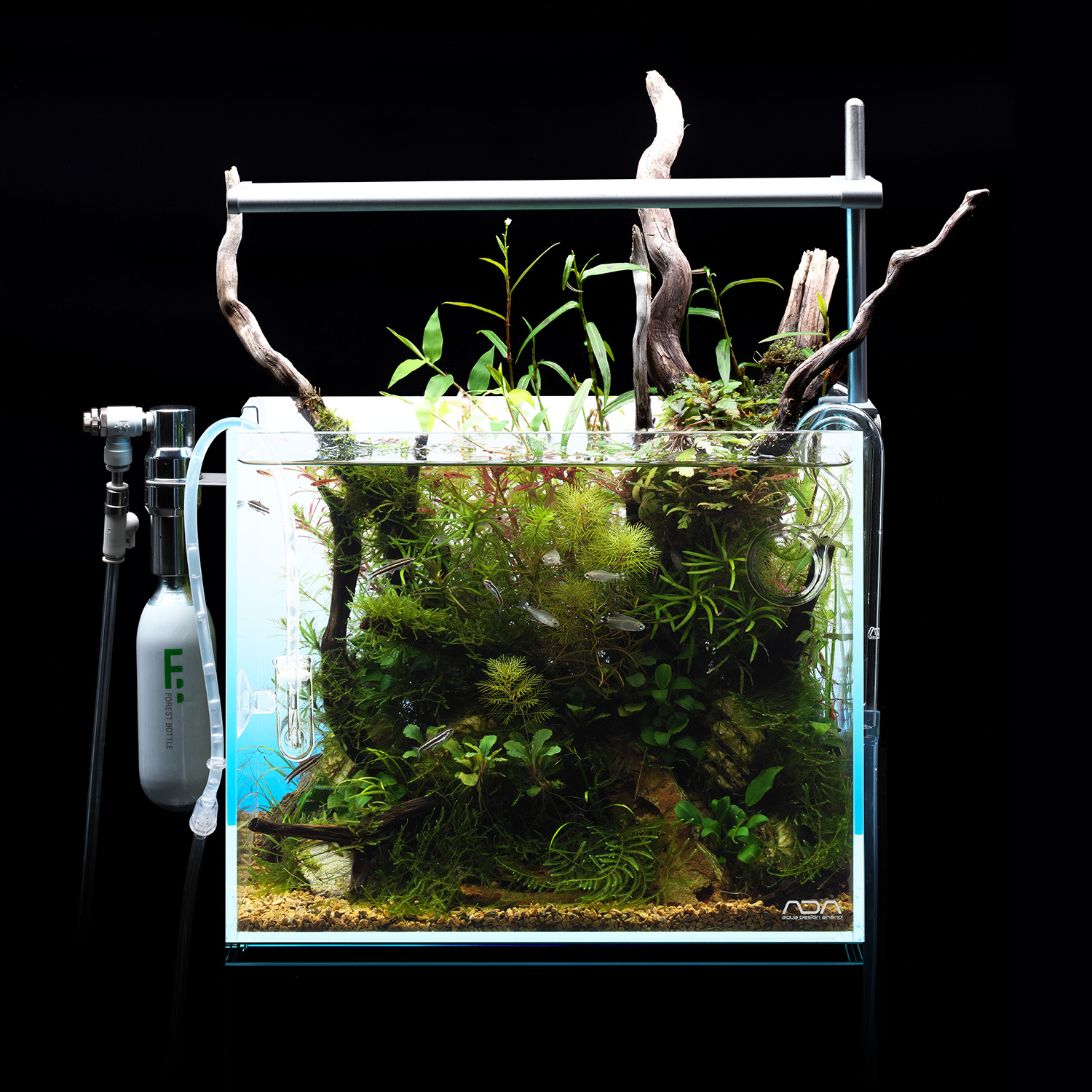 MINI NA_07 「CO2添加システムのワクワクとノウハウ」 | AQUA DESIGN AMANO