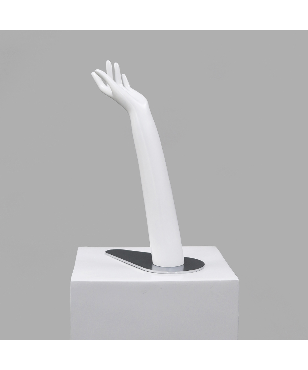 ハンドトルソー・ハンドフォーム A800-M｜トルソー（パンツ）レンタル