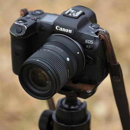 Sigma 18-50mm f/2.8 DC DN Contemporary Lens for Canon RF 585972