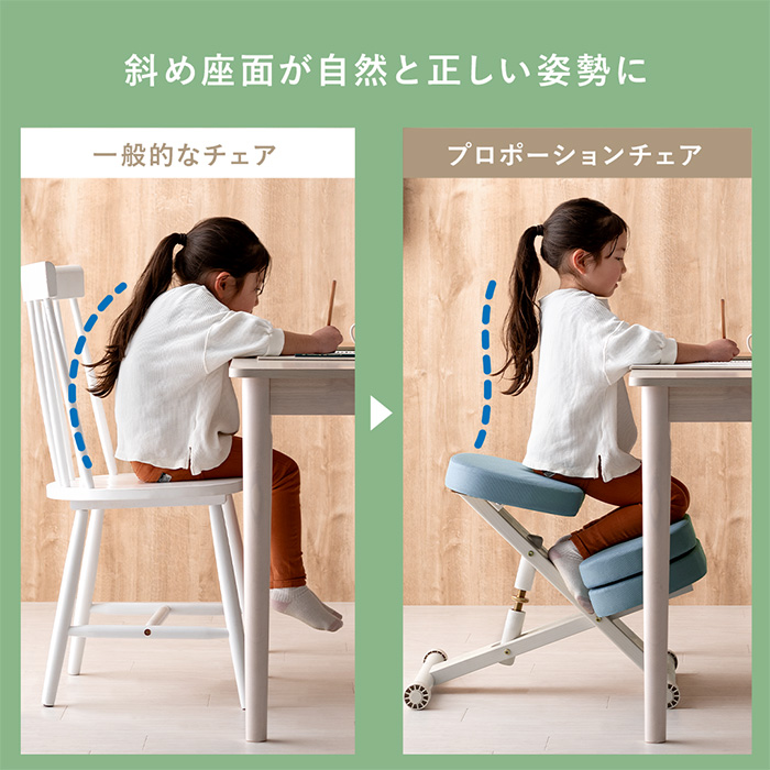 本体別売】プロポーションチェア 補助クッション単体 | 家具