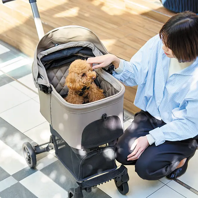 AIRBUGGY WIZ X (エアバギーウィズエックス) - AIRBUGGY FOR PET