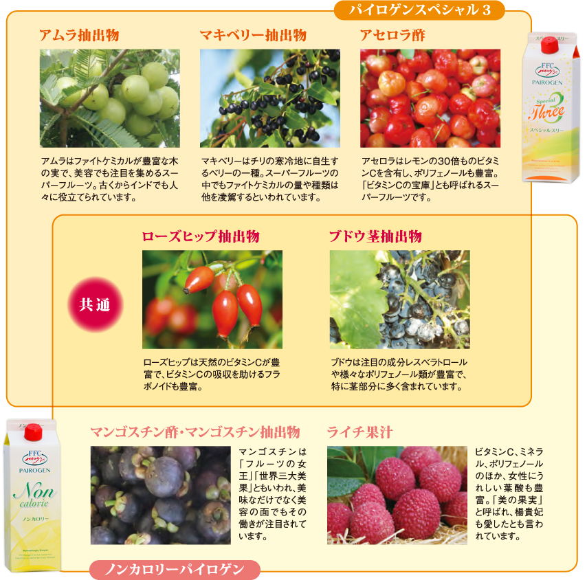 2014年11月、FFCパイロゲンスペシャル3とノンカロリーパイロゲンが