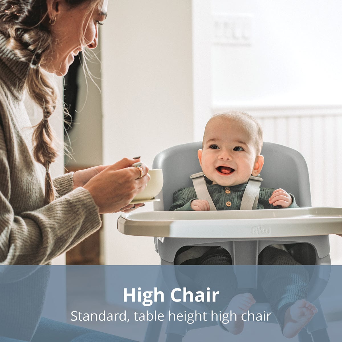 Chicco Zest 4-in-1 Folding High Chair - Capri – Albee Baby