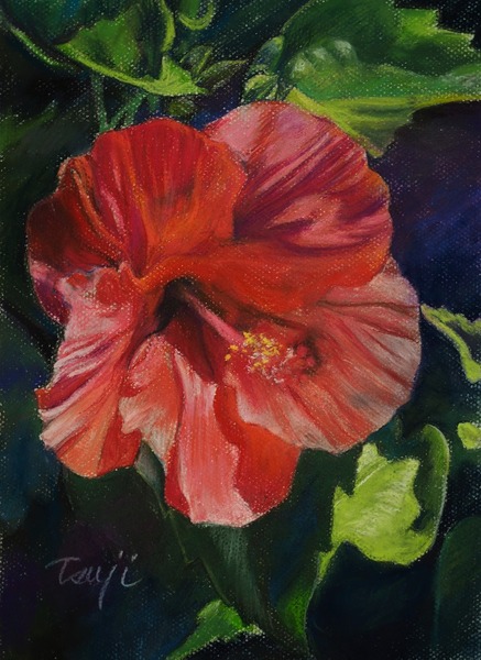 ハイビスカスⅢ」 by 辻 匠｜Artmeter｜暮らしを彩るアートが、きっと