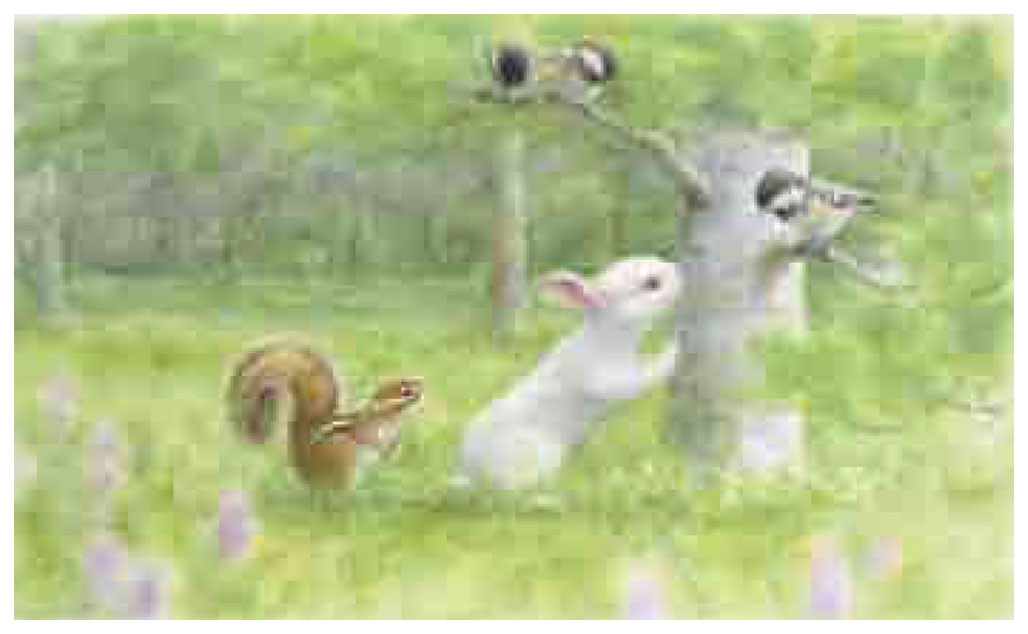 土田穣 絵画 (版画/ジクレー) すがすがしい森 7467|アート＆フレーム