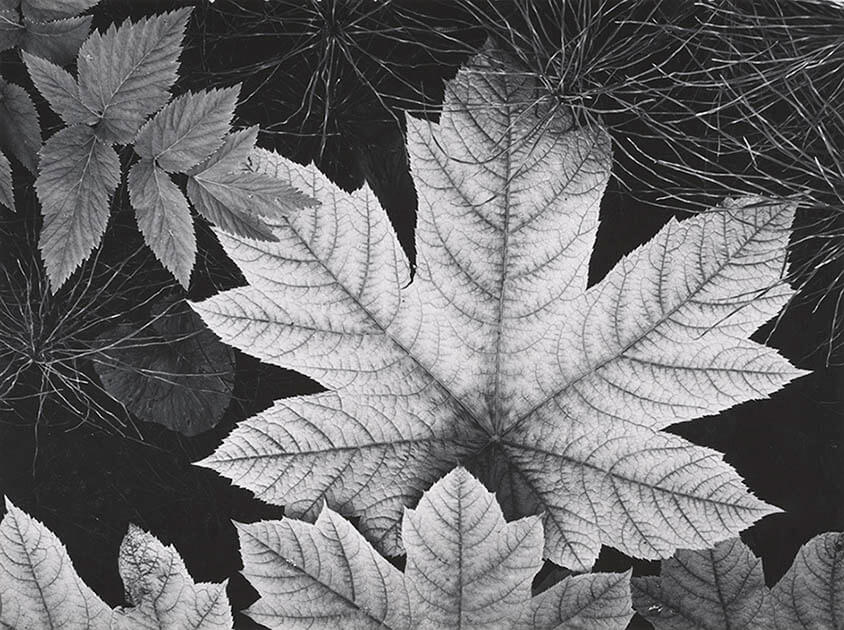 アンセル・アダムス作品展「ポートフォリオIV：偉大なる啓示