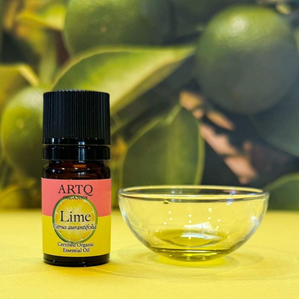 シトラスフェア2024 | ARTQORGANICS（アロマティーク オーガニクス