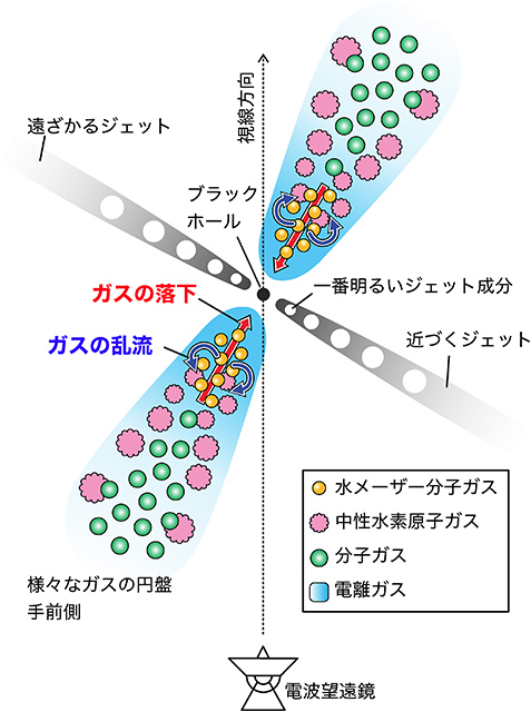 電波銀河の巨大ブラックホールに落ち込む水分子 - アストロアーツ