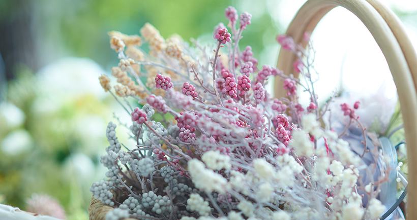 サンフラワー｜商品案内｜株式会社アスカ商会