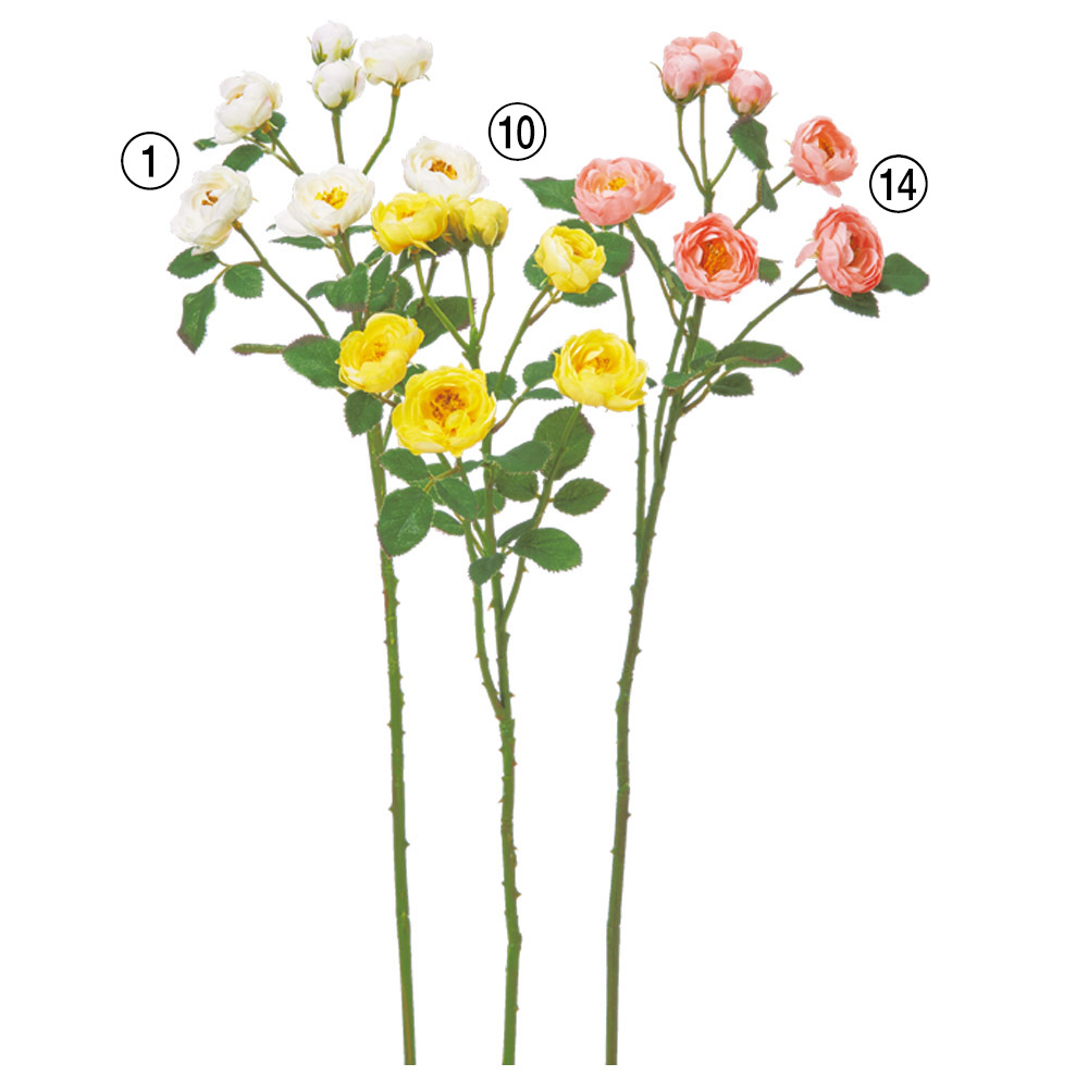 ブーゲンビリア×18｜商品案内｜株式会社アスカ商会