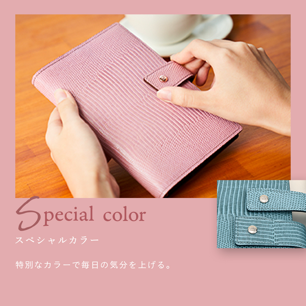 WEB限定3_specialcolor ASHFORD