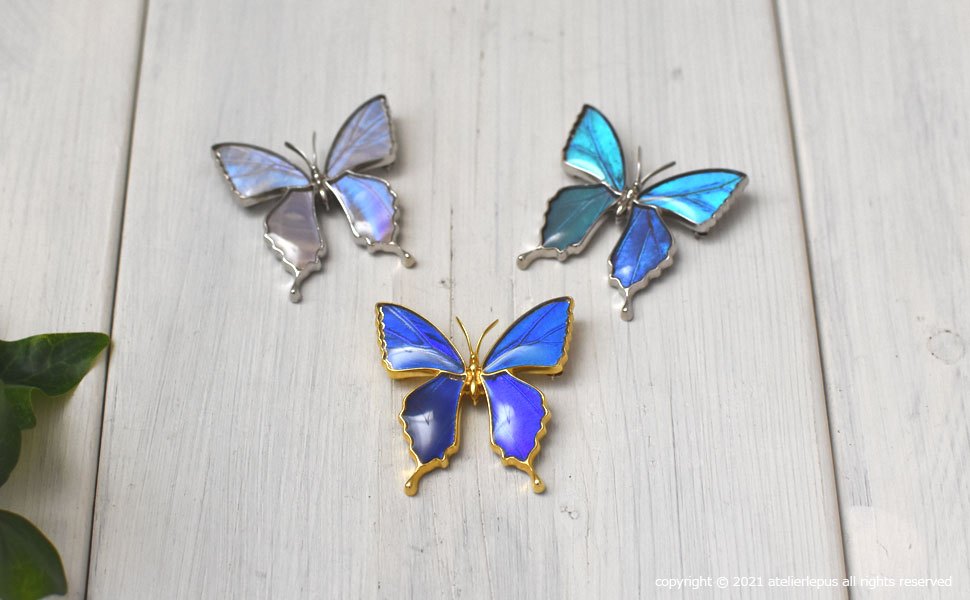 スルコウスキーモルフォ 蝶の翅 ブローチ兼ペンダント シルバー925