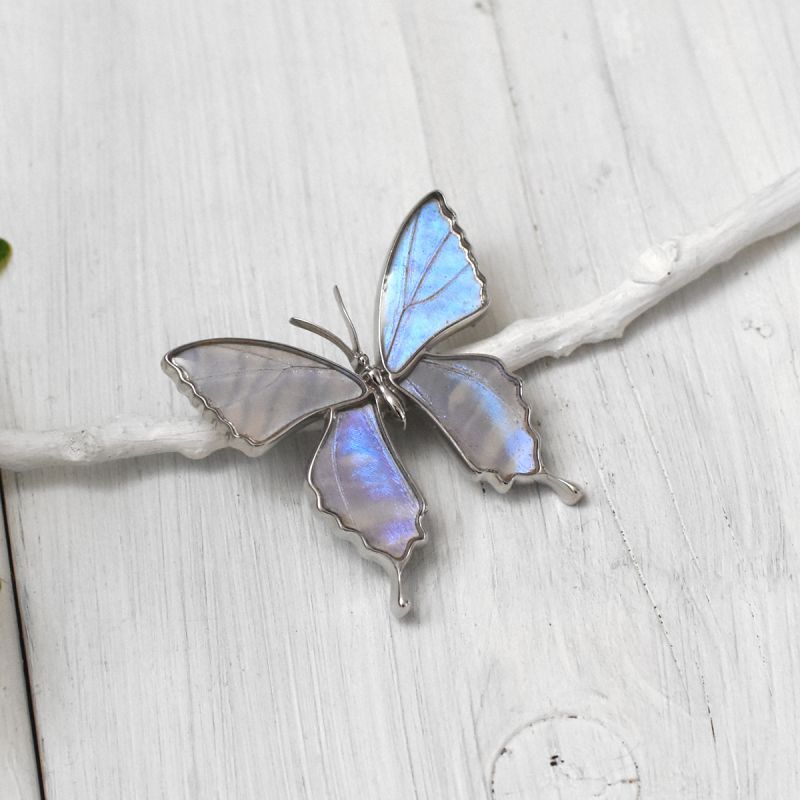 スルコウスキーモルフォ 蝶の翅 ブローチ兼ペンダント シルバー925
