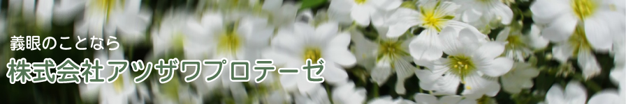 会社案内・全国のアツザワ義眼サービス網｜アツザワプロテーゼは全国で