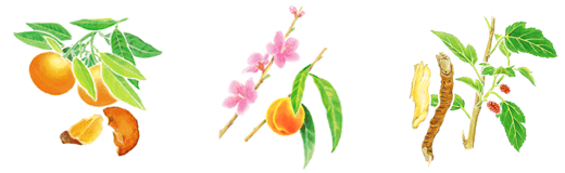 バスリキッド＜薬用入浴剤＞｜製品のご案内｜アザレ化粧品