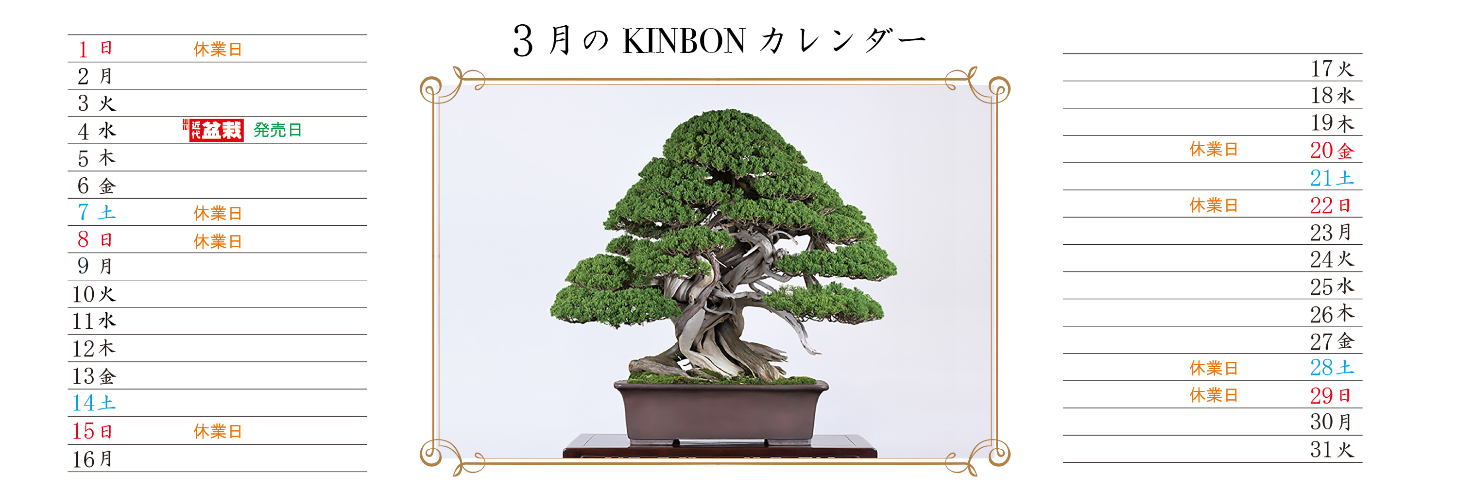 TOPページ | 盆栽、盆栽書籍、盆栽鉢の通販│近代出版