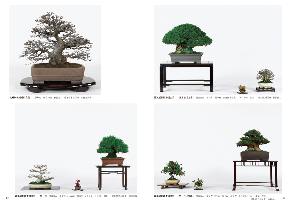 第90回 銘風盆栽展 記念帖 | 盆栽、盆栽書籍、盆栽鉢の通販│近代出版