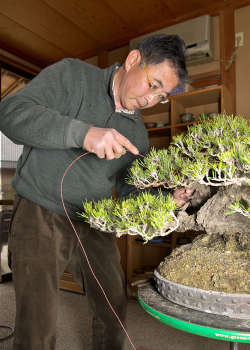 油圧式回転作業台Green-T（丸型ベーシック） | 盆栽、盆栽書籍、盆栽鉢