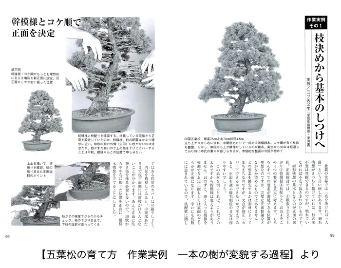 図解 盆栽樹形の作り方 五葉松盆栽の整姿・整形 阿部倉吉 三友社 盆栽