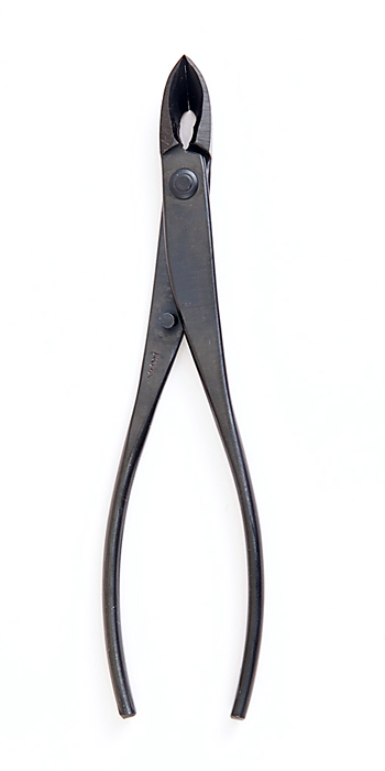 先細又枝切り | 盆栽、盆栽書籍、盆栽鉢の通販│近代出版